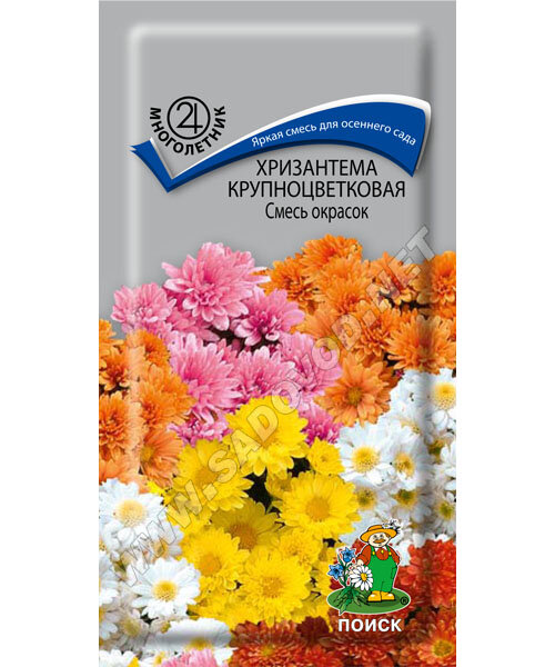 Хризантема крупноцветковая Смесь окрасок семена