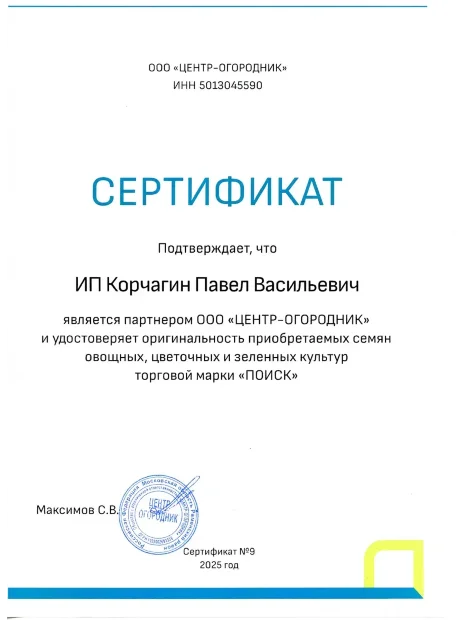 Астра пионовидная Дюшес Роуз энд Вайт семена