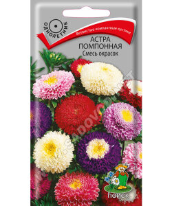 Астра помпонная Смесь окрасок