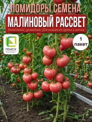 Томат Малиновый Рассвет Томат Малиновый Рассвет