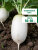 Редис Осенний гигант семена 