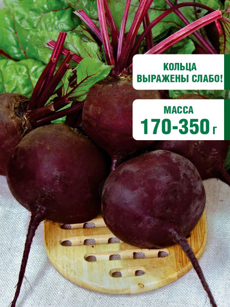 Свекла Эфиопка семена 