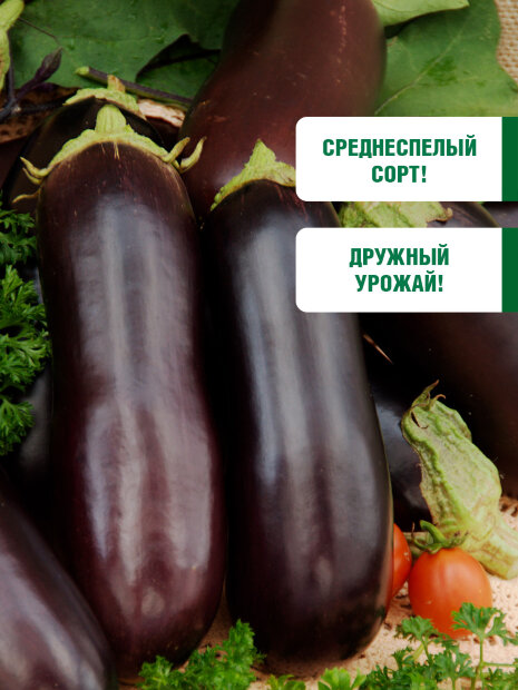 Баклажан Алмаз семена 