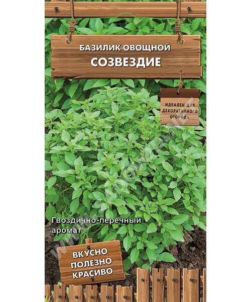 Базилик Созвездие семена 