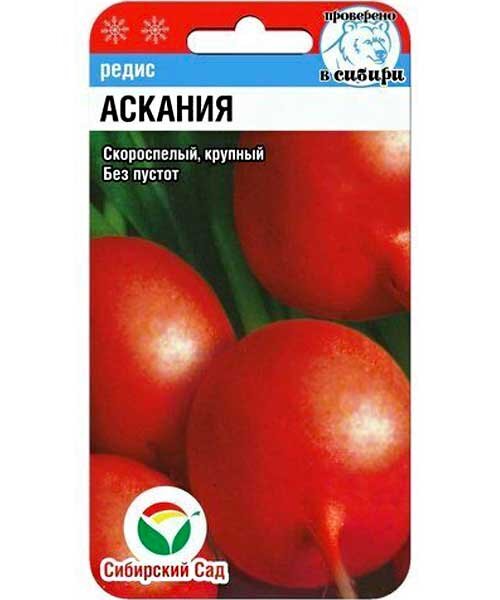 Редис Аскания семена 